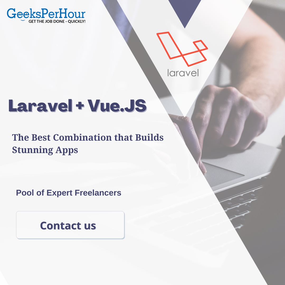 laravel and vue js developer